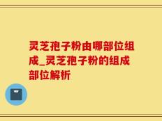 灵芝孢子粉由哪部位组成_灵芝孢子粉的组成部位解析