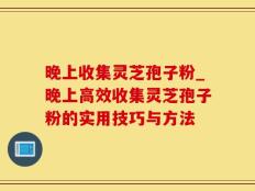 晚上收集灵芝孢子粉_晚上高效收集灵芝孢子粉的实用技巧与方法