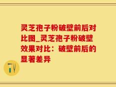 灵芝孢子粉破壁前后对比图_灵芝孢子粉破壁效果对比：破壁前后的显著差异