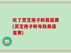 吃了灵芝孢子粉晨尿黄(灵芝孢子粉导致晨尿变黄)