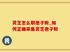 灵芝怎么取孢子粉_如何正确采集灵芝孢子粉