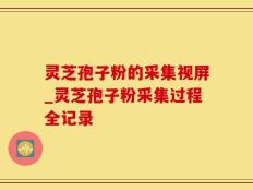 灵芝孢子粉的采集视屏_灵芝孢子粉采集过程全记录