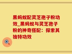 黑蚂蚁配灵芝孢子粉功效_黑蚂蚁与灵芝孢子粉的神奇搭配：探索其独特功效