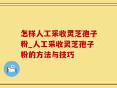 怎样人工采收灵芝孢子粉_人工采收灵芝孢子粉的方法与技巧
