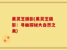 黑灵芝摄影(黑灵芝摄影：寻幽探秘大自然之美)