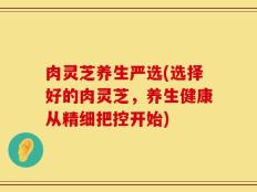 肉灵芝养生严选(选择好的肉灵芝，养生健康从精细把控开始)