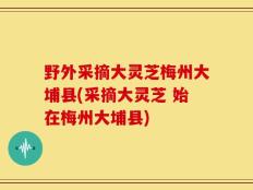 野外采摘大灵芝梅州大埔县(采摘大灵芝 始在梅州大埔县)