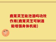 鹿茸灵芝能泡酒吗功效作用(鹿茸灵芝可制酒 能增强身体机能)