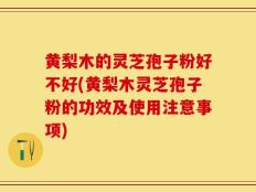 黄梨木的灵芝孢子粉好不好(黄梨木灵芝孢子粉的功效及使用注意事项)