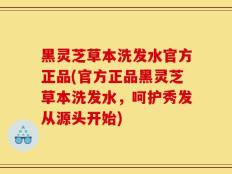 黑灵芝草本洗发水官方正品(官方正品黑灵芝草本洗发水，呵护秀发从源头开始)