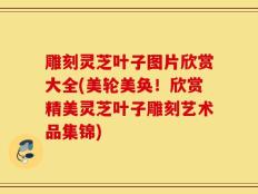 雕刻灵芝叶子图片欣赏大全(美轮美奂！欣赏精美灵芝叶子雕刻艺术品集锦)