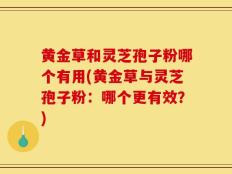 黄金草和灵芝孢子粉哪个有用(黄金草与灵芝孢子粉：哪个更有效？)