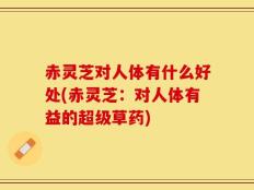 赤灵芝对人体有什么好处(赤灵芝：对人体有益的超级草药)