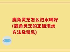 鹿角灵芝怎么泡水喝好(鹿角灵芝的正确泡水方法及禁忌)