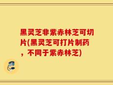 黑灵芝非紫赤林芝可切片(黑灵芝可打片制药，不同于紫赤林芝)