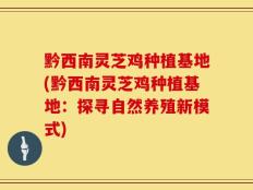 黔西南灵芝鸡种植基地(黔西南灵芝鸡种植基地：探寻自然养殖新模式)