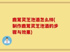 鹿茸灵芝泡酒怎么样(制作鹿茸灵芝泡酒的步骤与效果)