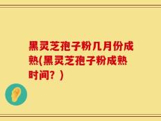 黑灵芝孢子粉几月份成熟(黑灵芝孢子粉成熟时间？)