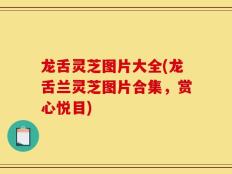 龙舌灵芝图片大全(龙舌兰灵芝图片合集，赏心悦目)