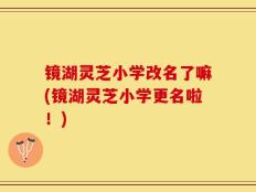 镜湖灵芝小学改名了嘛(镜湖灵芝小学更名啦！)