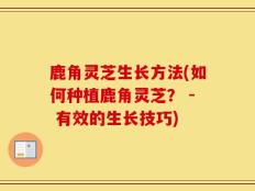 鹿角灵芝生长方法(如何种植鹿角灵芝？ - 有效的生长技巧)