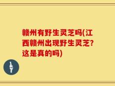赣州有野生灵芝吗(江西赣州出现野生灵芝？这是真的吗)