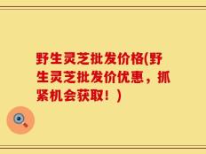 野生灵芝批发价格(野生灵芝批发价优惠，抓紧机会获取！)