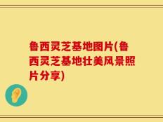鲁西灵芝基地图片(鲁西灵芝基地壮美风景照片分享)