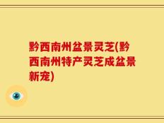 黔西南州盆景灵芝(黔西南州特产灵芝成盆景新宠)