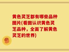黄色灵芝都有哪些品种图片(看图认识黄色灵芝品种，全面了解黄色灵芝的世界)