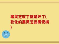 黑灵芝软了就是坏了(软化的黑灵芝品质受损)