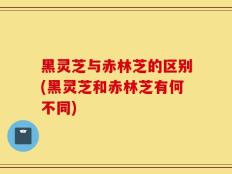 黑灵芝与赤林芝的区别(黑灵芝和赤林芝有何不同)