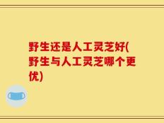 野生还是人工灵芝好(野生与人工灵芝哪个更优)