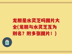 龙胆是水灵芝吗图片大全(龙胆与水灵芝互为别名？附多张图片！)