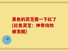 黑色的灵芝摸一下红了(红色灵芝：神奇功效被发掘)