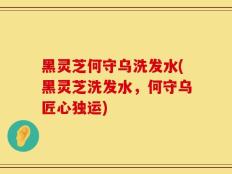 黑灵芝何守乌洗发水(黑灵芝洗发水，何守乌匠心独运)