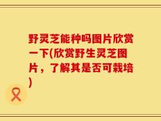 野灵芝能种吗图片欣赏一下(欣赏野生灵芝图片，了解其是否可栽培)