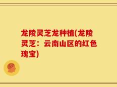 龙陵灵芝龙种植(龙陵灵芝：云南山区的红色瑰宝)