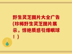 野生灵芝图片大全广告(珍稀野生灵芝图片展示，惊艳质感引爆眼球！)