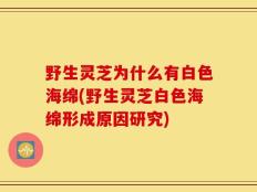 野生灵芝为什么有白色海绵(野生灵芝白色海绵形成原因研究)