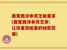 鹿茸西洋参灵芝能量茶(鹿茸西洋参灵芝茶：让你重获能量的秘密武器)