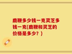 鹿鞭多少钱一克灵芝多钱一克(鹿鞭和灵芝的价格是多少？)