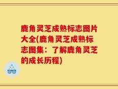 鹿角灵芝成熟标志图片大全(鹿角灵芝成熟标志图集：了解鹿角灵芝的成长历程)