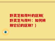 野灵芝和荷叶的区别(野灵芝与荷叶：如何辨别它们的区别？)