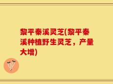 黎平秦溪灵芝(黎平秦溪种植野生灵芝，产量大增)
