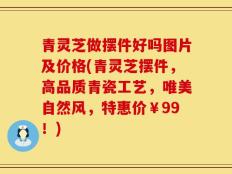 青灵芝做摆件好吗图片及价格(青灵芝摆件，高品质青瓷工艺，唯美自然风，特惠价￥99！)
