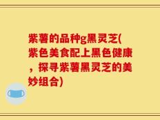 紫薯的品种g黑灵芝(紫色美食配上黑色健康，探寻紫薯黑灵芝的美妙组合)
