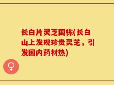 长白片灵芝国栋(长白山上发现珍贵灵芝，引发国内药材热)