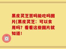 黑皮灵芝苦吗能吃吗图片(黑皮灵芝：可以食用吗？看看这些图片就知道！