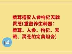 鹿茸搭配人参枸杞天戟灵芝(重塑养生利器：鹿茸、人参、枸杞、天戟、灵芝的完美组合)